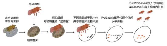 基金示意图-01-01